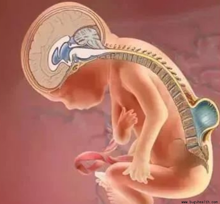 ����ҽѧ���ա����ǿ��������ǿ���