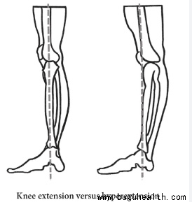 ����ҽѧ���ա����ǿ��������ǿ������ɹ�������ֹ�����