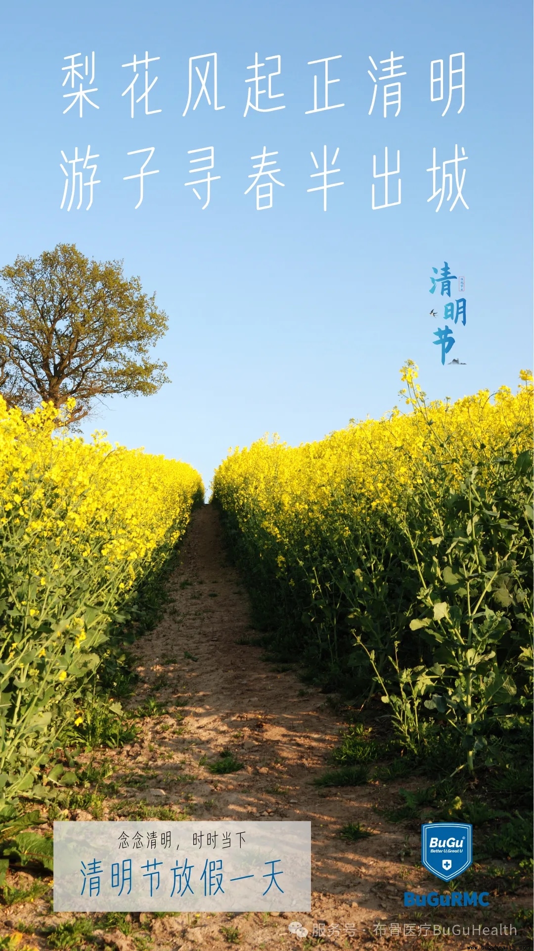 ����ҽ�������ڷż�һ��